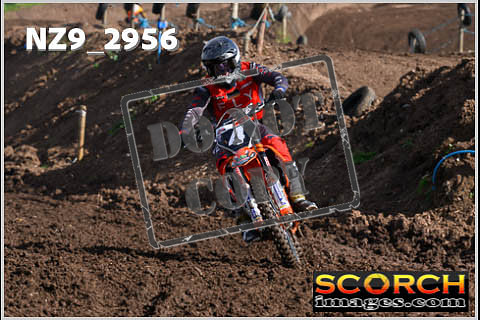 Experts-137