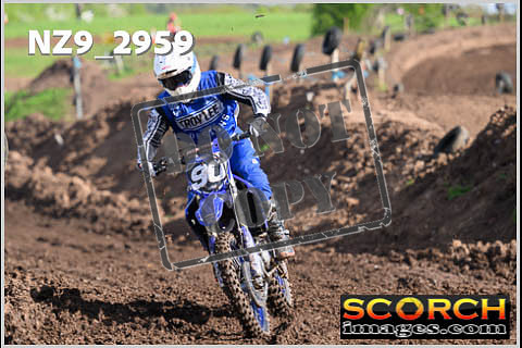 Experts-140