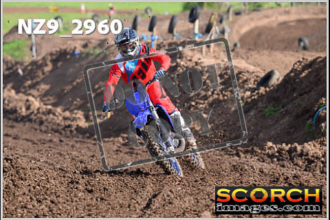 Experts-141