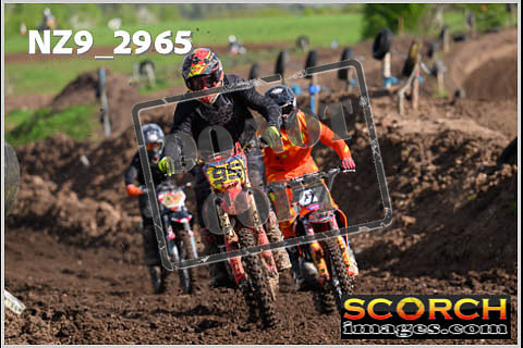 Experts-146