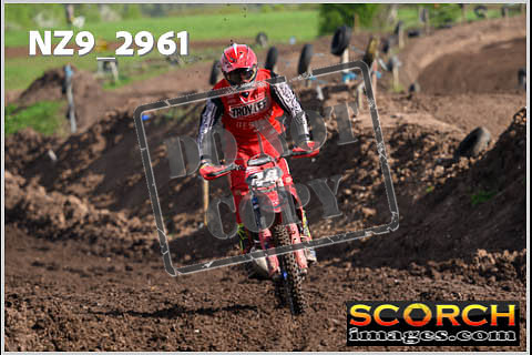 Experts-142
