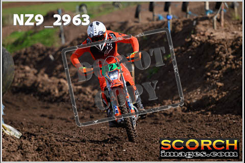 Experts-144