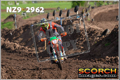 Experts-143
