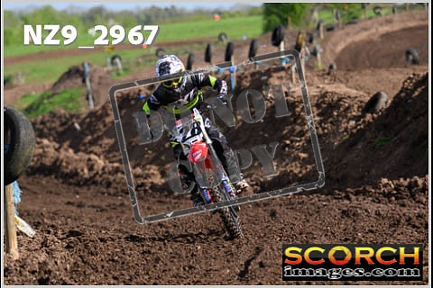 Experts-148