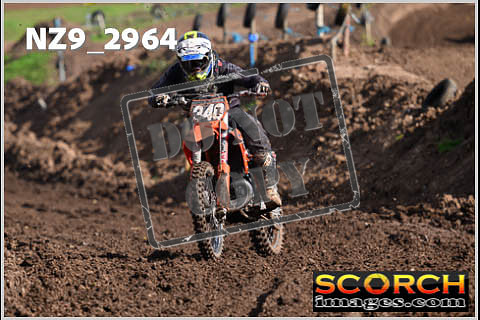 Experts-145