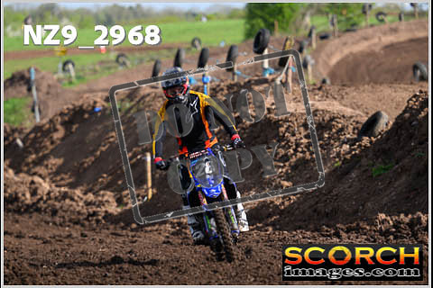 Experts-149