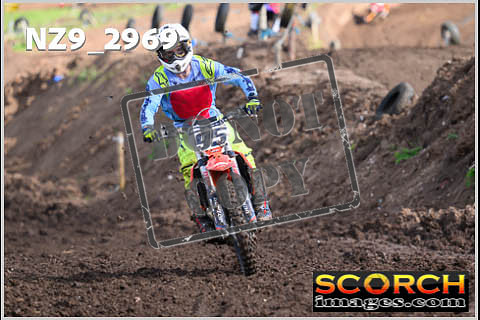 Experts-150