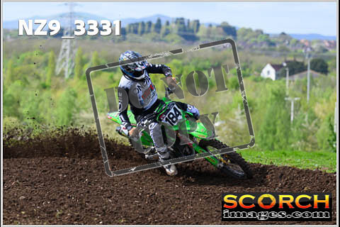 Experts-151