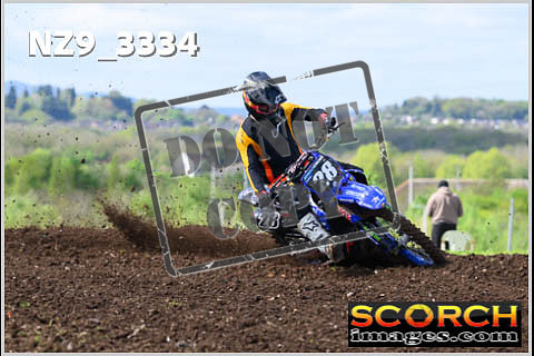 Experts-154