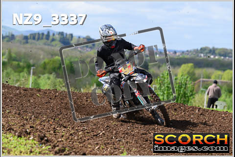 Experts-157