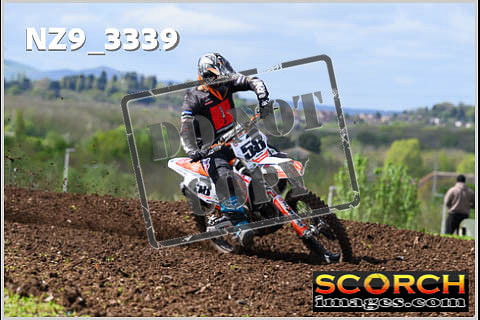 Experts-159