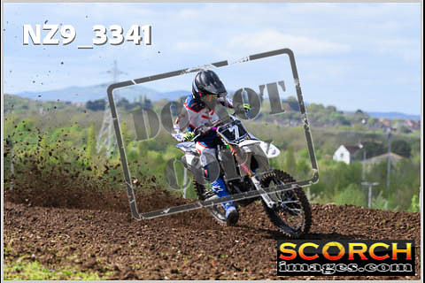 Experts-161