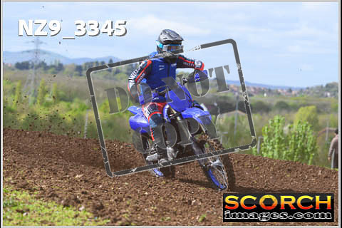 Experts-165