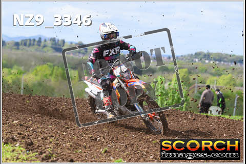 Experts-166
