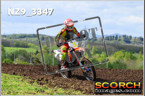 Experts-167