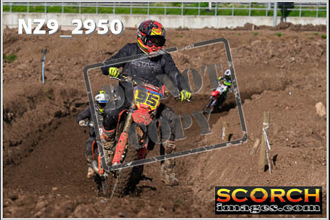 Experts-131