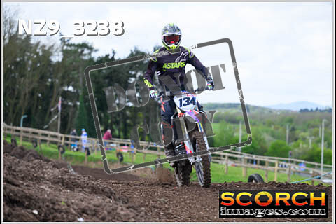 Inters Green-092