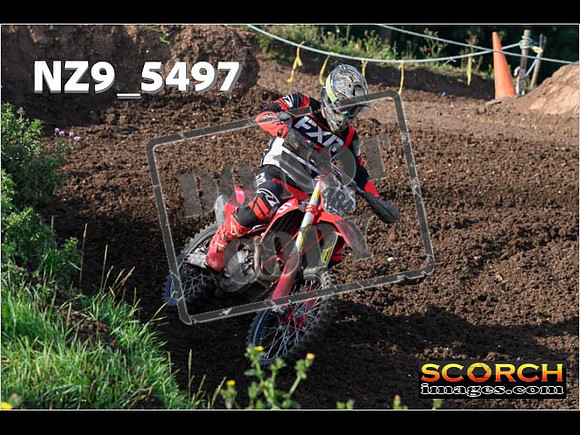 Experts-029