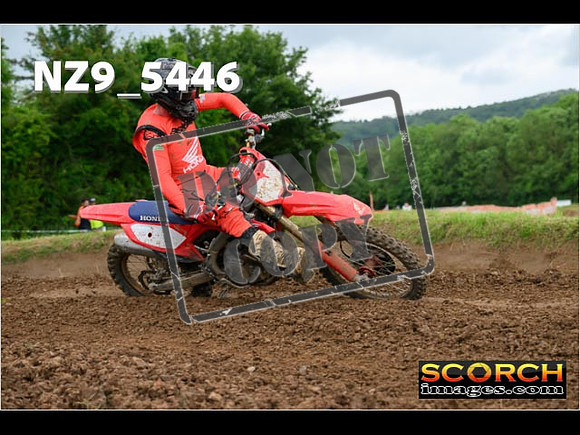 Experts-377