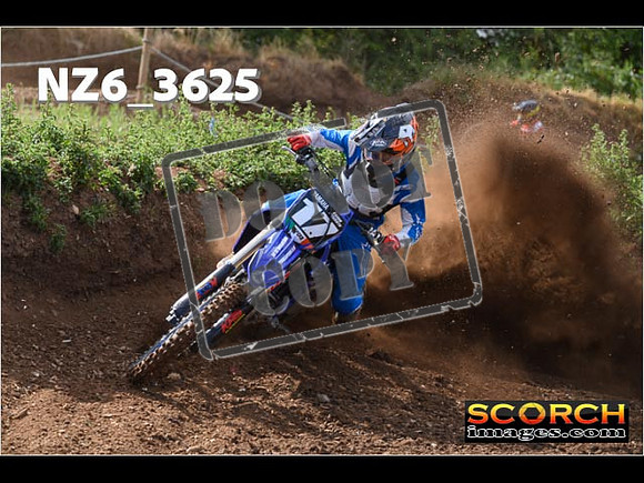 Experts-051