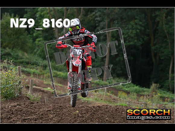 Experts-099