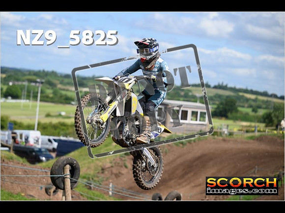 Experts-079