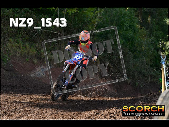 Experts-228