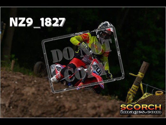 Experts-048