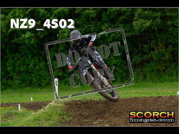 Experts-219