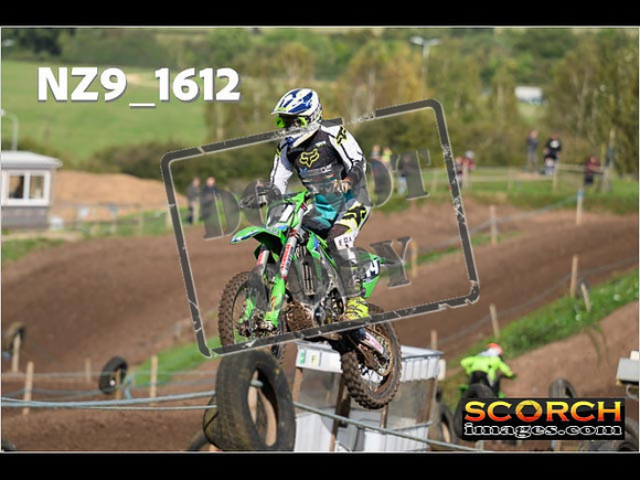 Experts-293