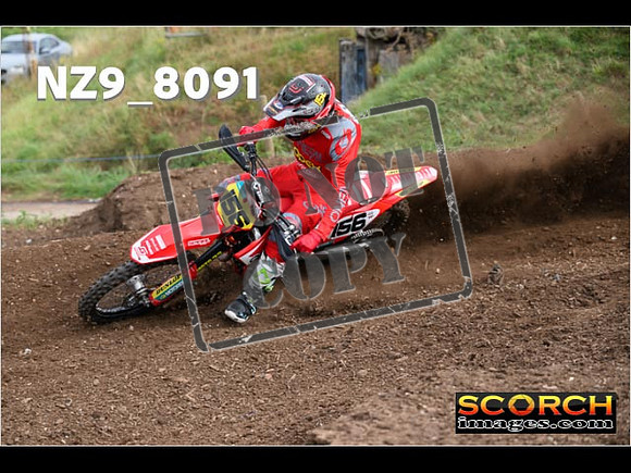 Experts-032