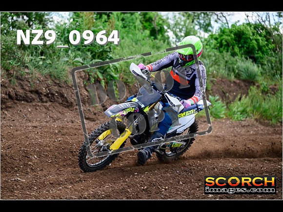 IntersGreen-029