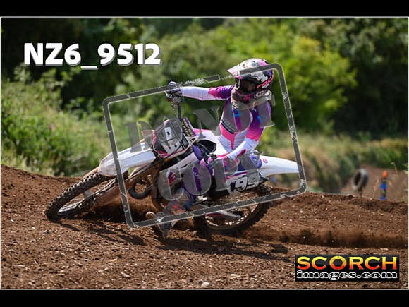Experts-275