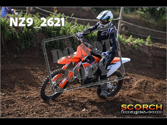 IntersGreenOrange-021
