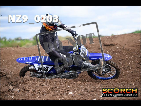 Experts-139