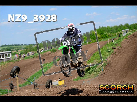 InterGreen-211