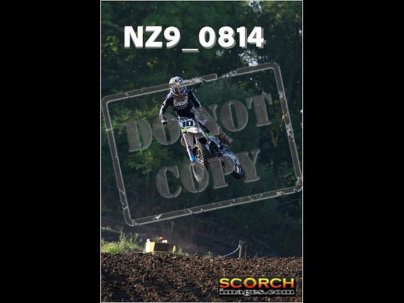 Experts-030