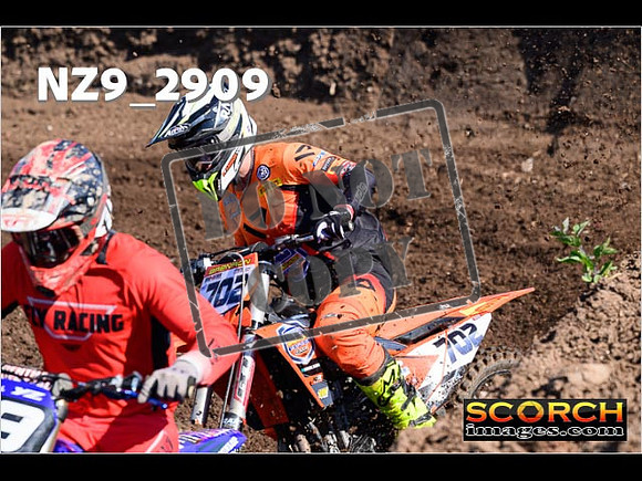 Experts-081