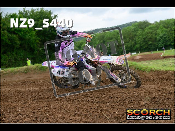 Experts-371