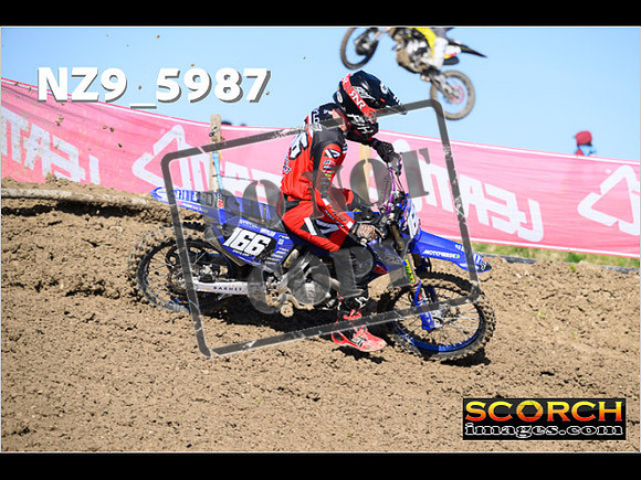 MX2-061