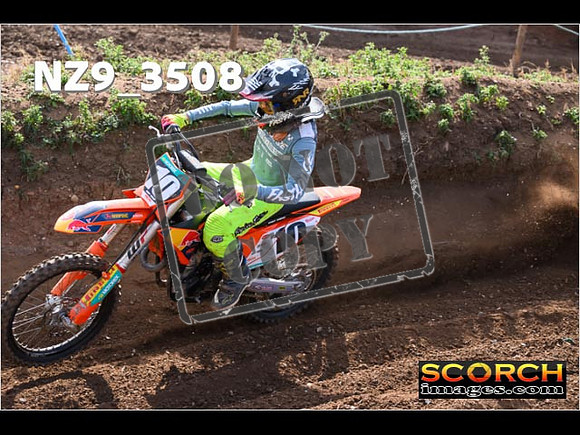 Experts-075