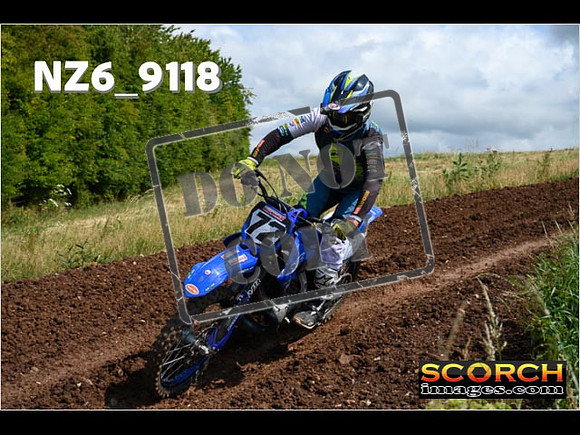 Experts-181