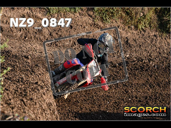 Experts-062