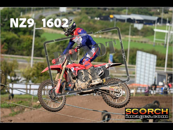 Experts-284