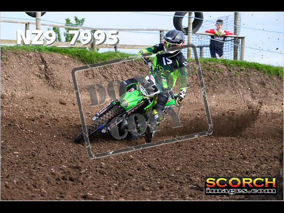 Experts-039