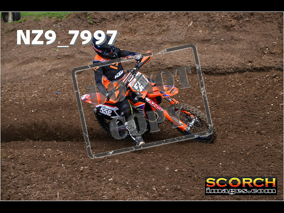 Experts-041