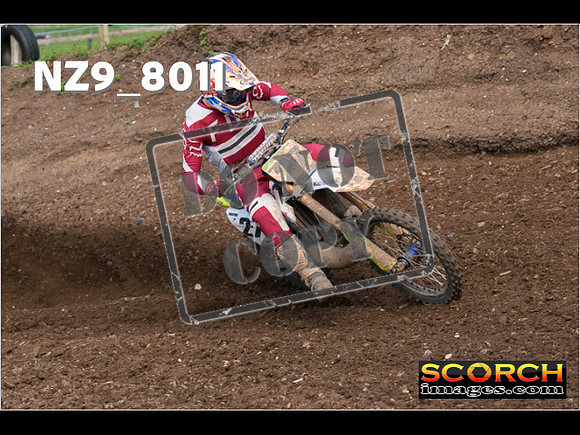 Experts-054
