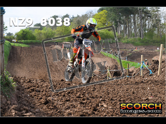Experts-077