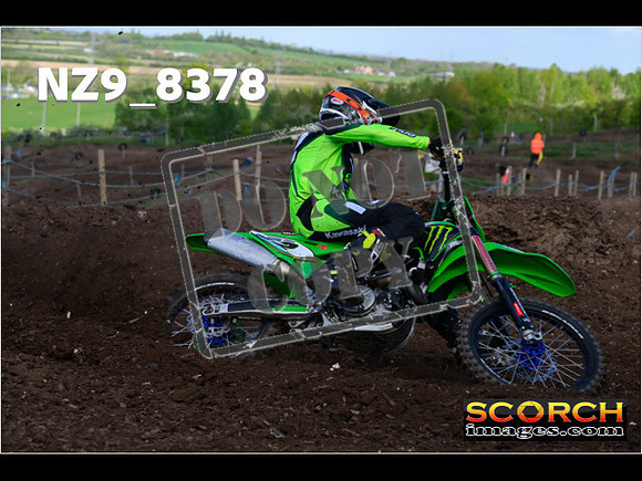Experts-106