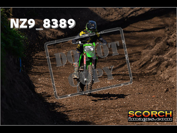 Experts-115